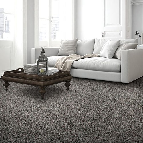 brown carpet for livingroom