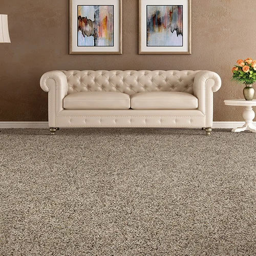 Carpet Spectrum Inc providing easy stain-resistant pet friendly carpet in Hermosa Beach, CA